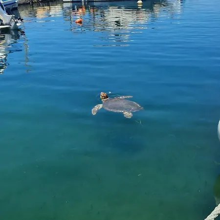 Aparthotel Poseidon